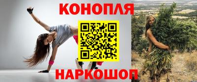 ECSTASY Новозыбков