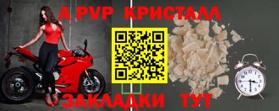 ECSTASY Новозыбков