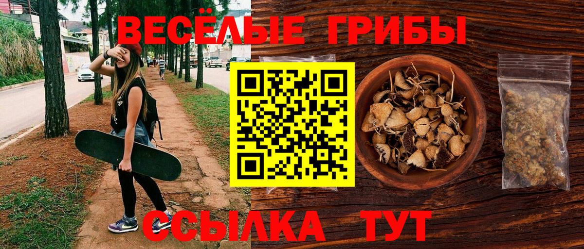 Санкт-Петербург  Галлюциногенные грибы Magic Shrooms  Вход с VPN  Галлюциногенные грибы Psilocybine cubensis 